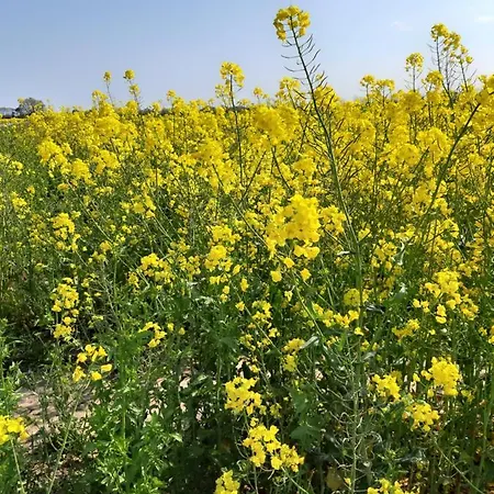 Apartament Silbermoewe *