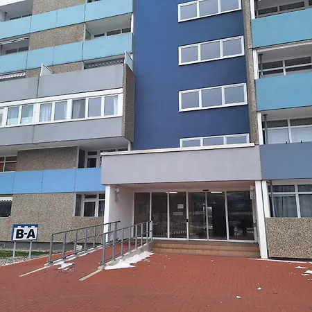 Silbermoewe Heiligenhafen